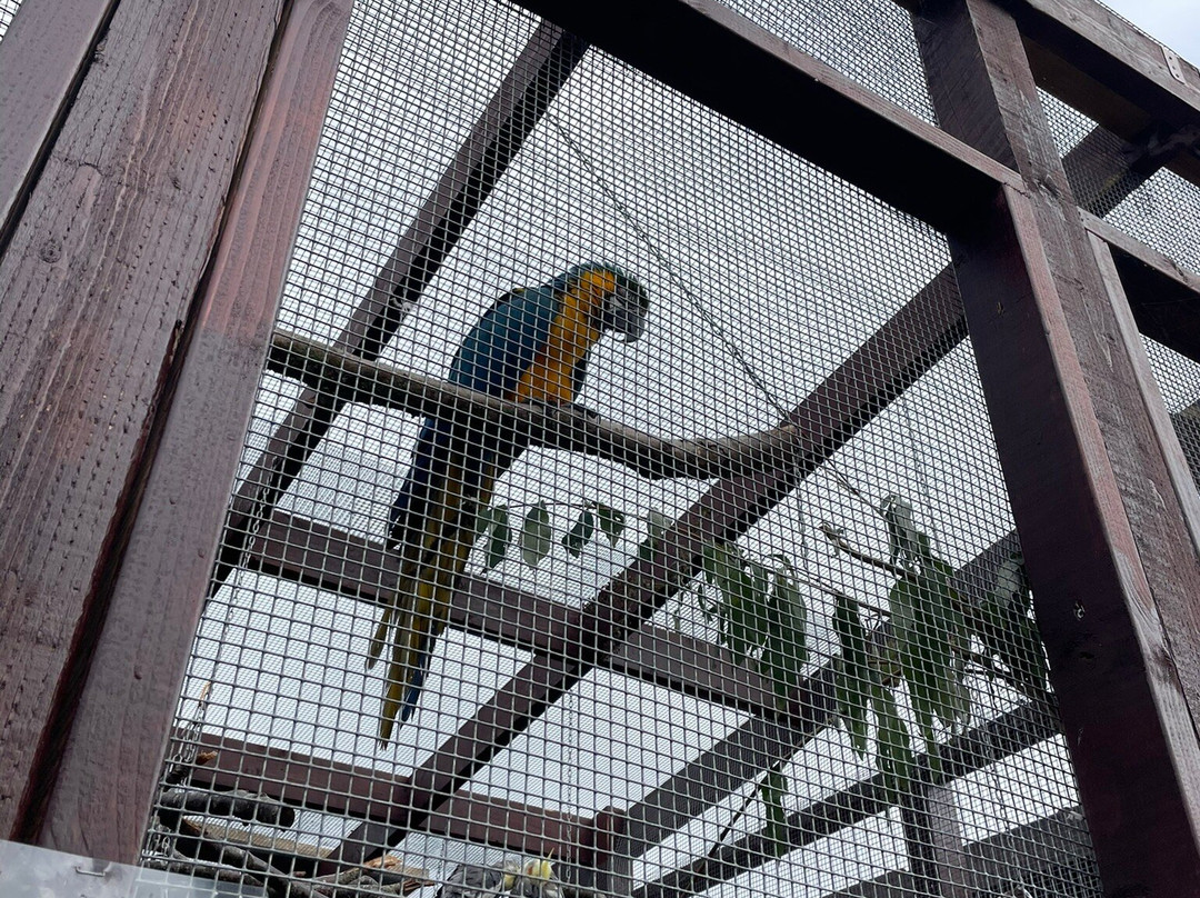Mablethorpe Seal Sanctuary and Wildlife Centre-Mablethorpe必去景点
