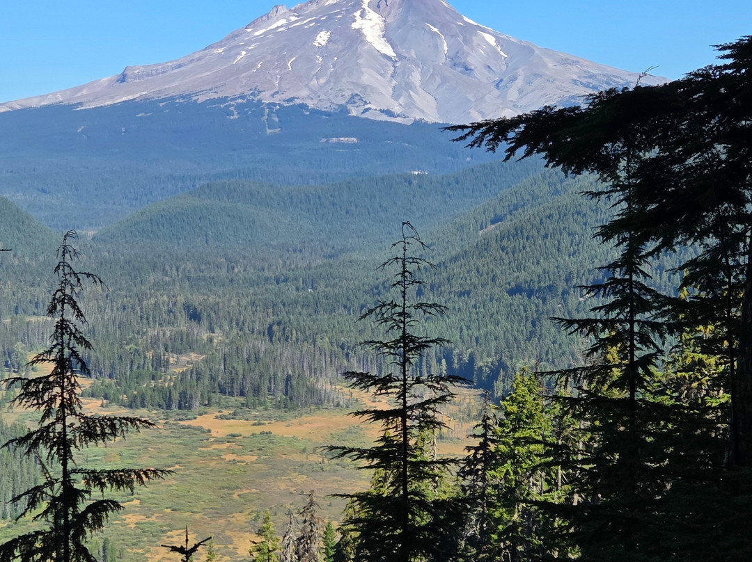 Rare Earth Adventures-波特兰必去景点
