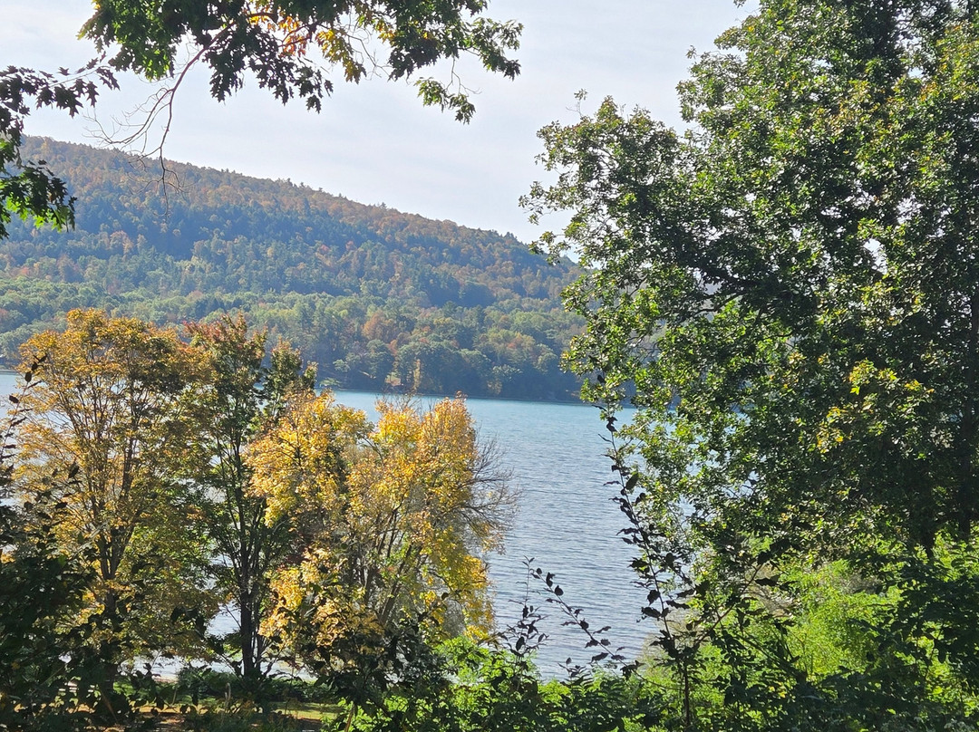 Mountain Treasure主图