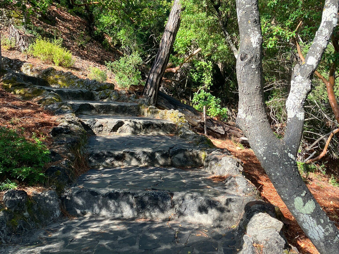 Butterflies Valley-Epano Kalamonas必去景点