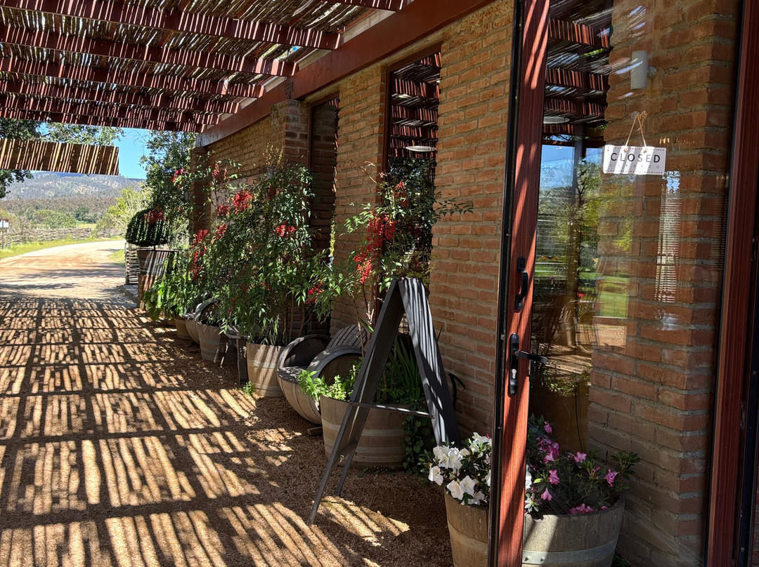 La Casona At Matetic Vineyards主图