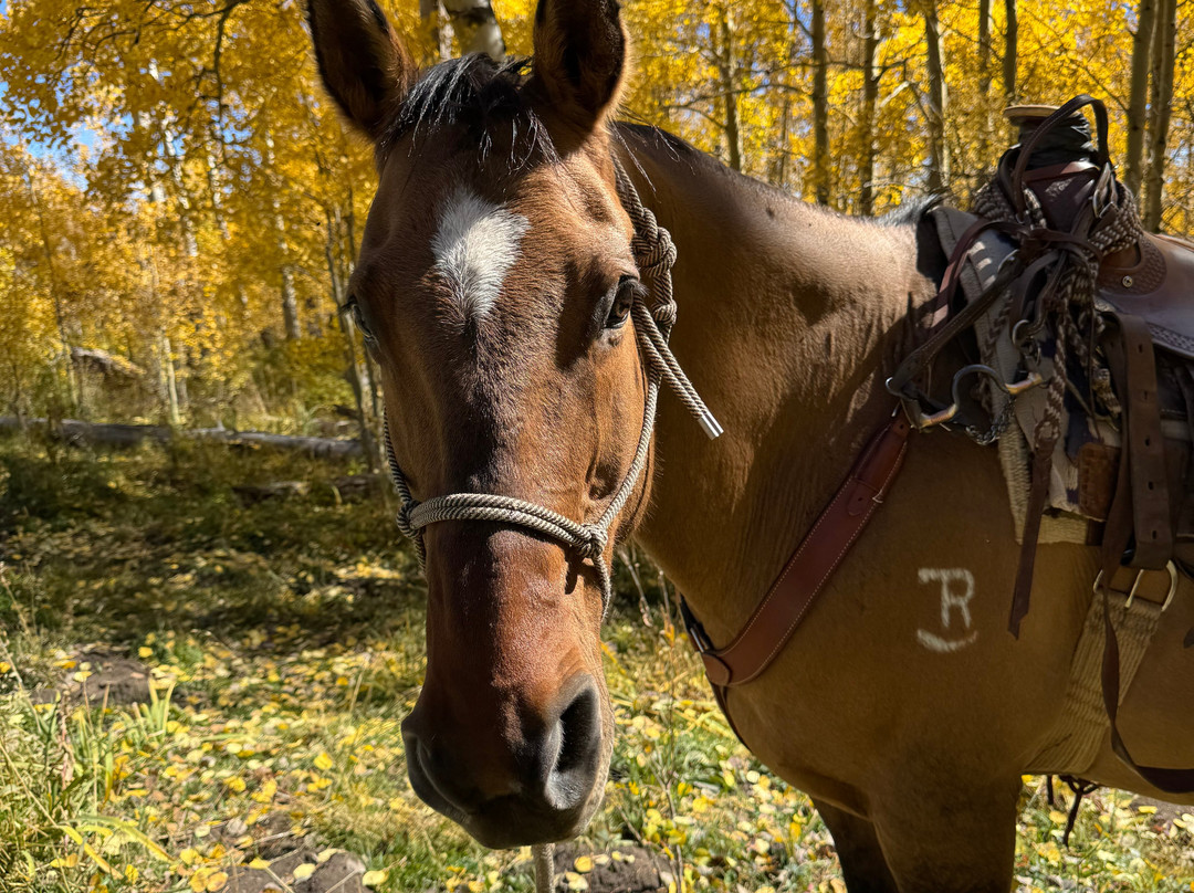 Cloud 9 Trails-Pecos必去景点