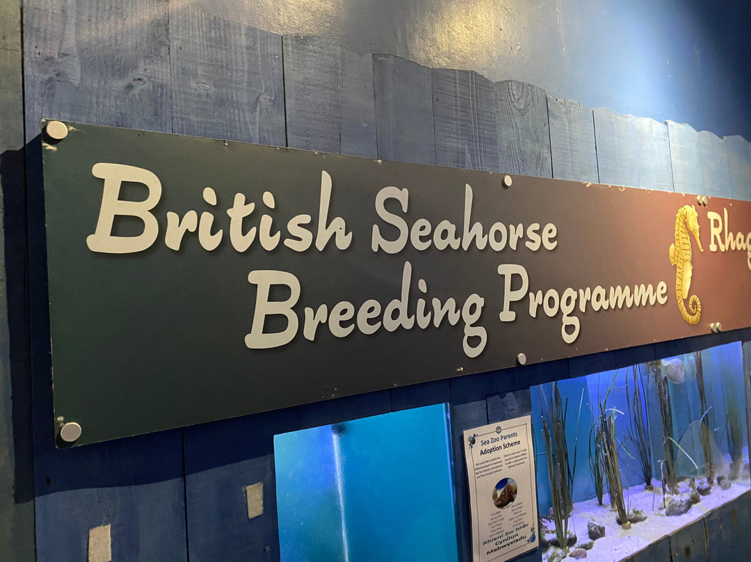 Anglesey Sea Zoo Sw Mor Mon-Brynsiencyn必去景点