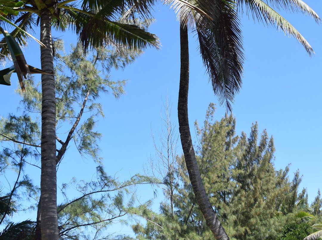Piscine Naturelle d’Ambodiatafana-Nosy Boraha必去景点