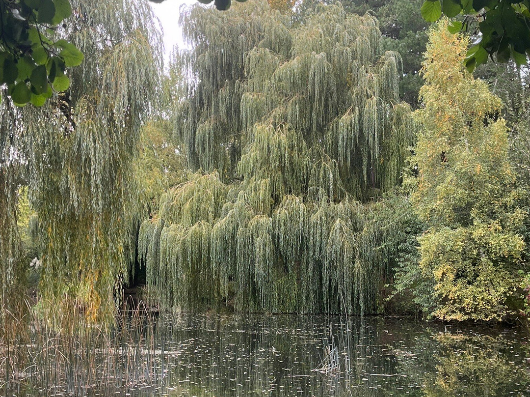Gooderstone Water Gardens & Nature Trails-金斯林必去景点