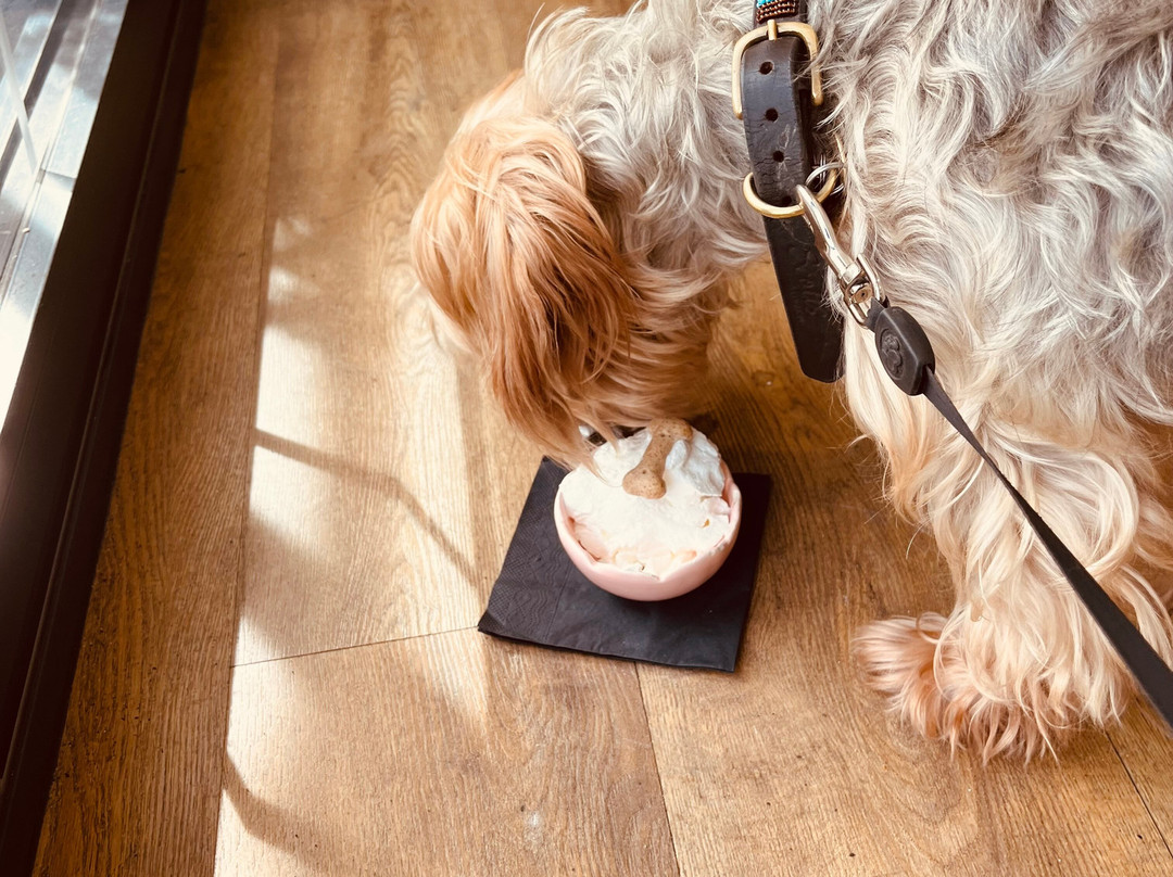 Beehive Coffee Shop