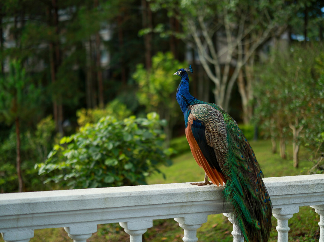 大勒伊顿斯湖渡假村主图