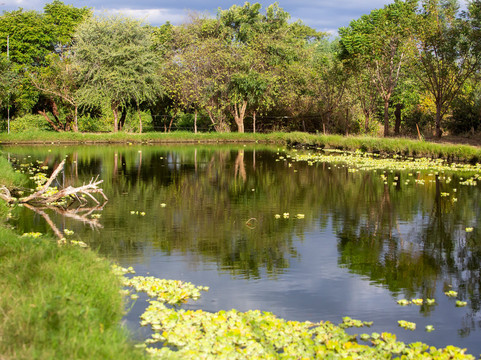 Oxpecker Safari Lodge
