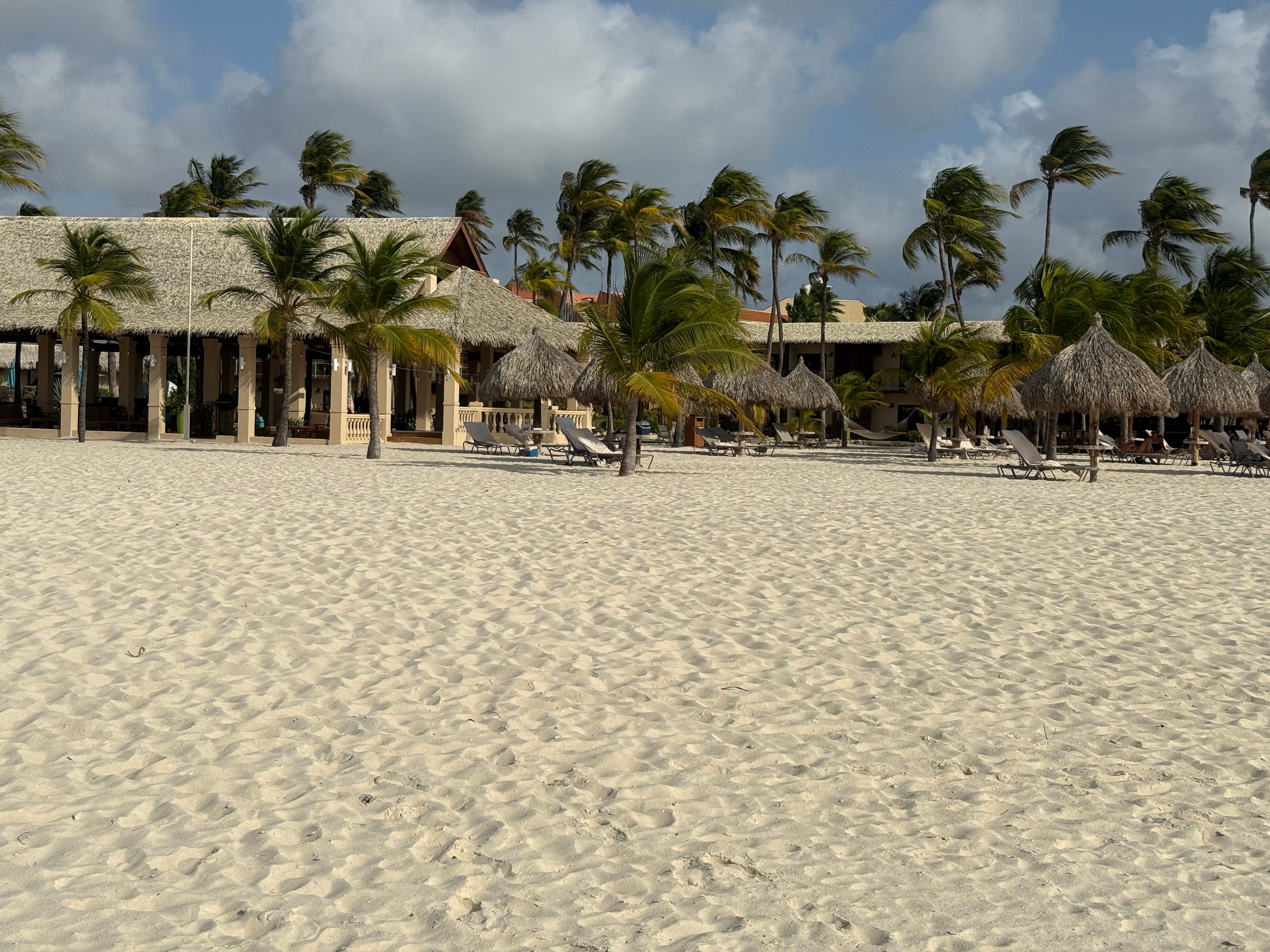 Manchebo Beach Resort & Spa-泳池