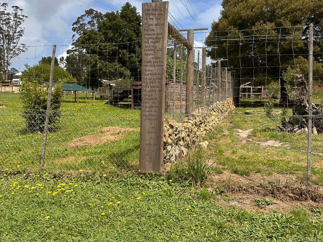 Garden Route Wolf Sanctuary-普利登堡湾必去景点