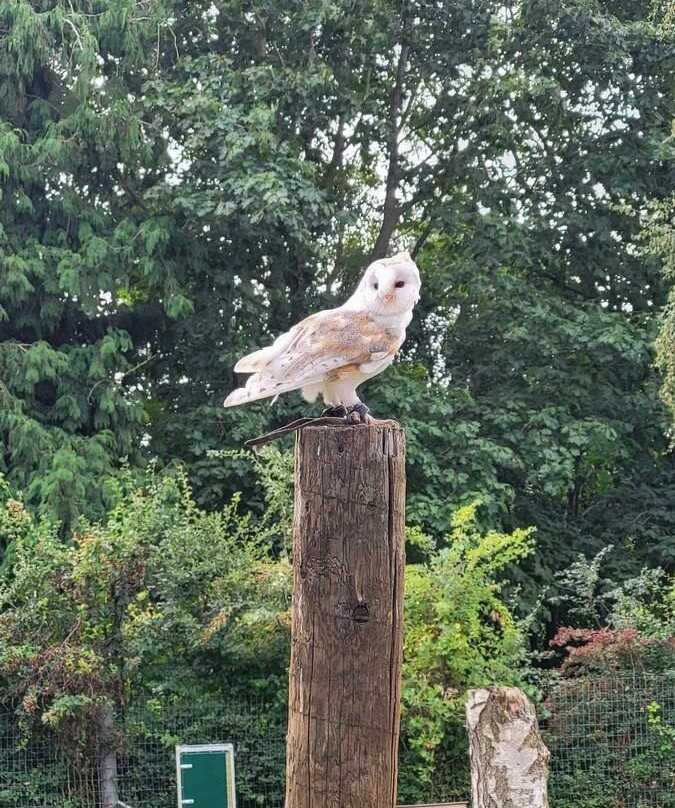 Tattershall Farm Park-Tattershall必去景点
