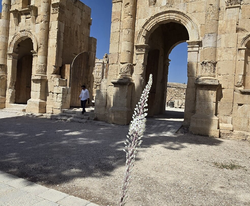 Archaeological Site Of Jerash-杰拉什必去景点