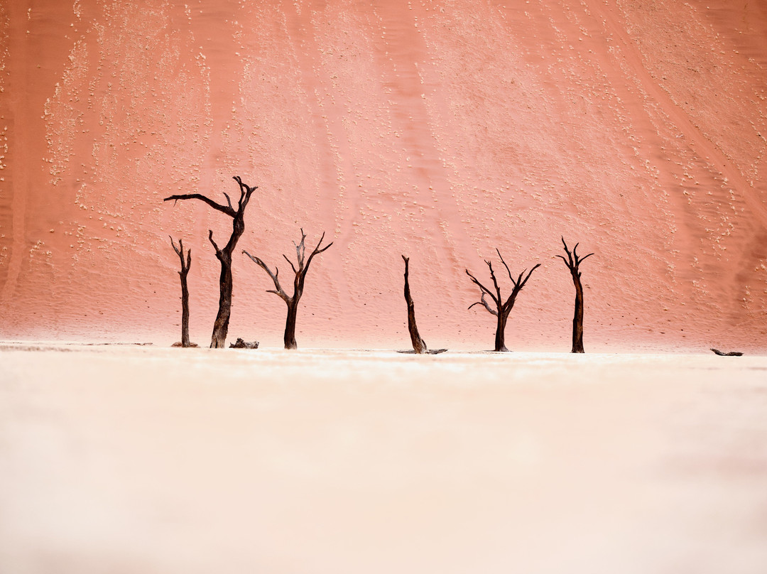 Great Explorations Namibia-温德和克必去景点