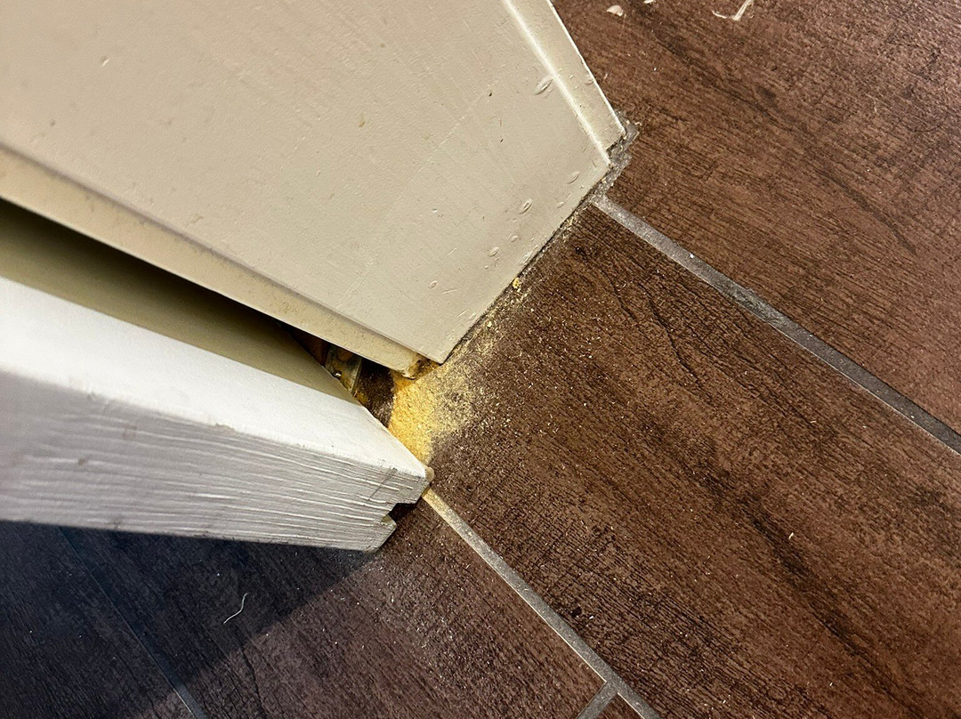 Hampton Inn & Suites Phoenix Tempe主图