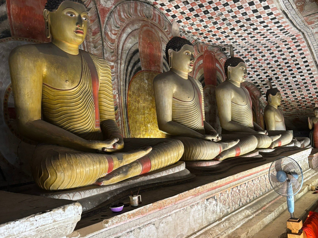 Avotas Tours-科伦坡必去景点