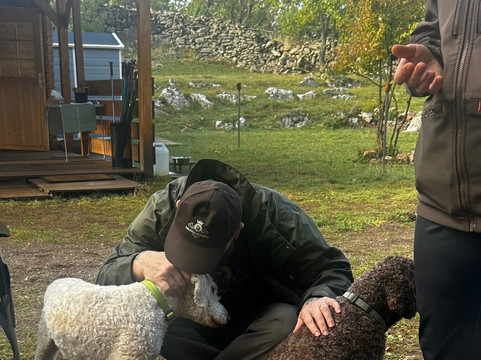 Truffle hunting Dalmatia-斯普利特必去景点