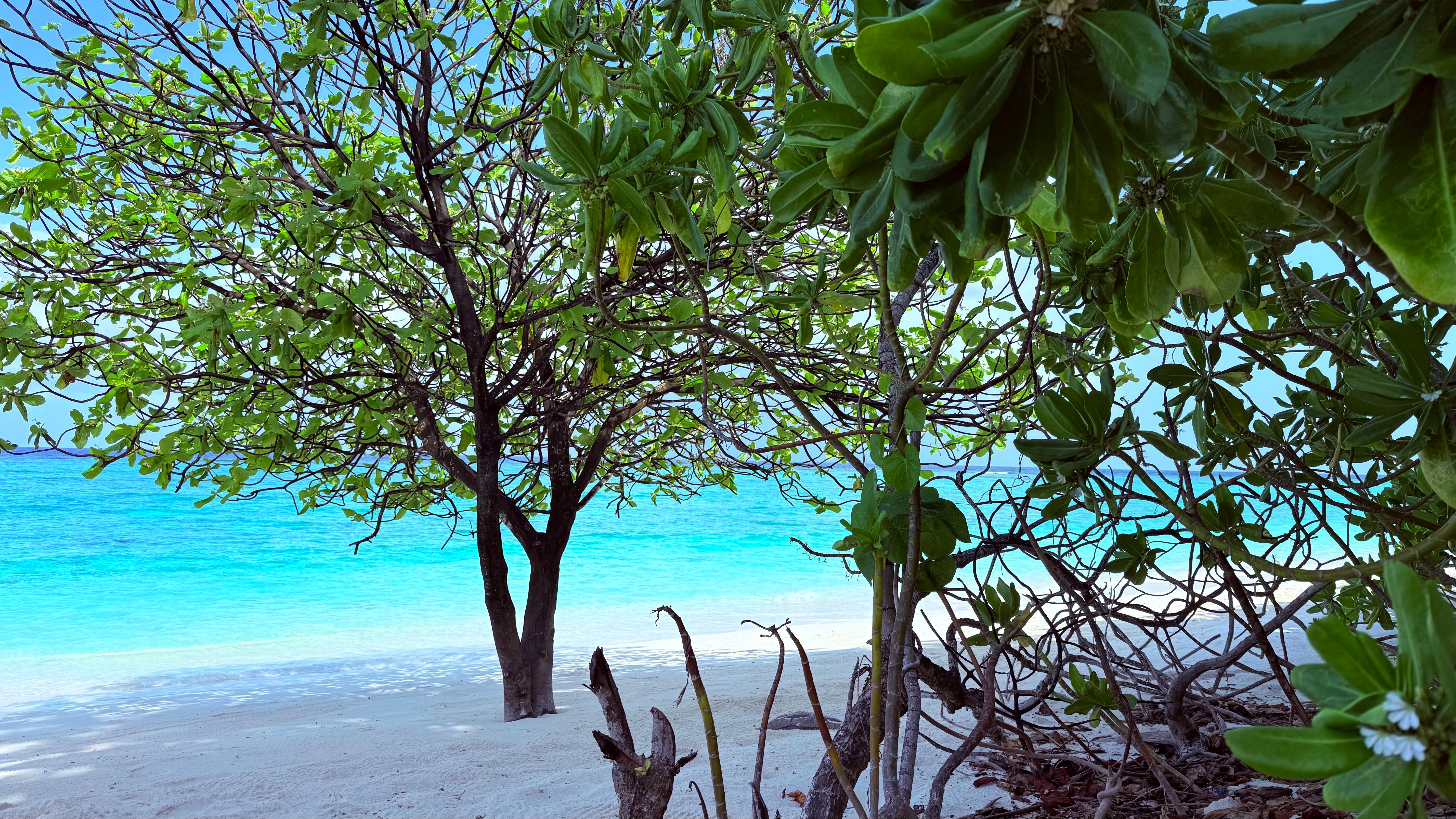 Ifuru Island Resort Maldives-浴室