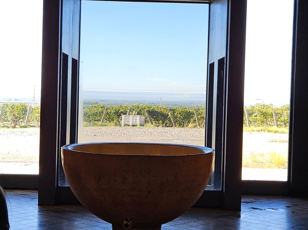 Bodega Salentein-Los Arboles必去景点