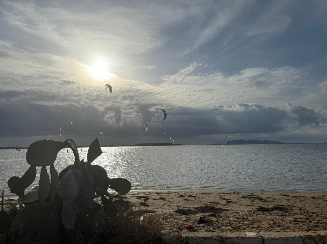 Follow the Wind - Kitesurf School Sicily-马尔萨拉必去景点