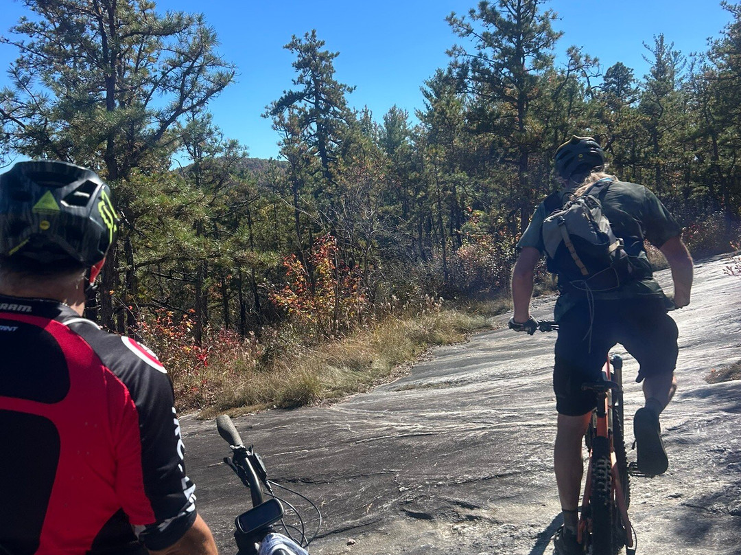 The Bike Farm-Pisgah Forest必去景点