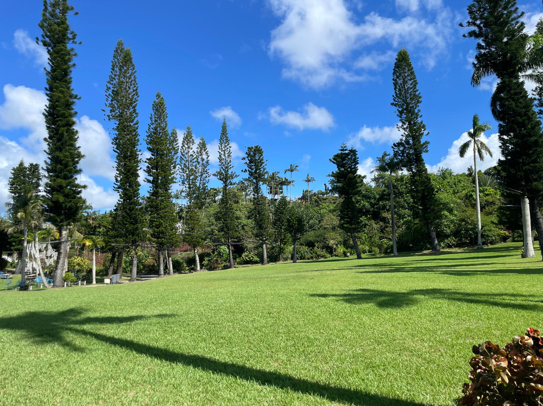 东南植物乐园-冲绳市必去景点