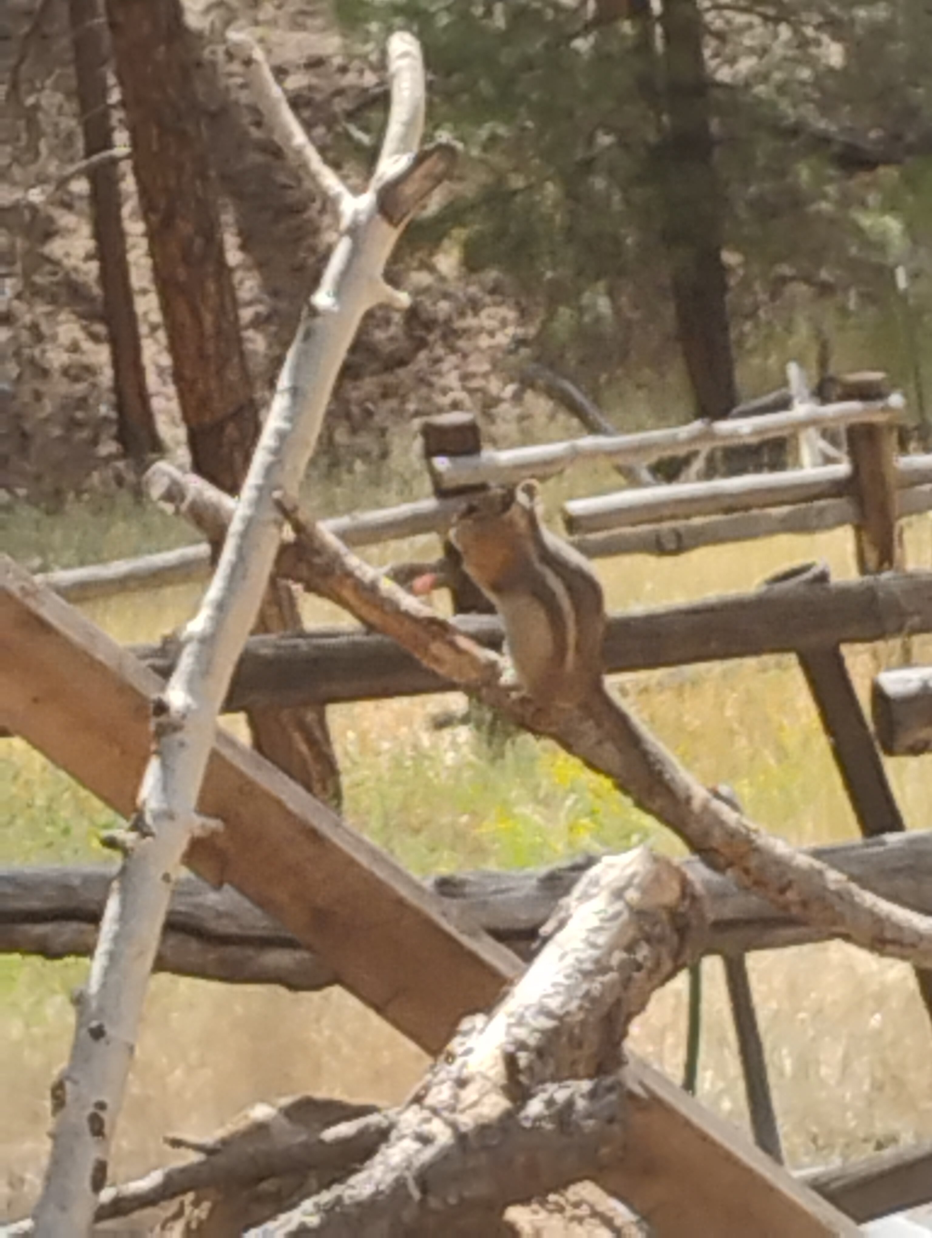 雅各伯湖酒店-官方