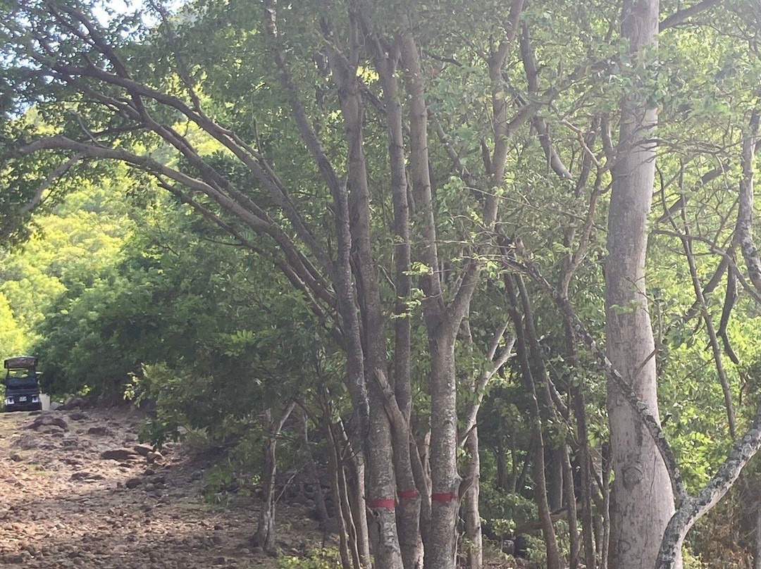 Crawen-Terre-de-Haut必去景点