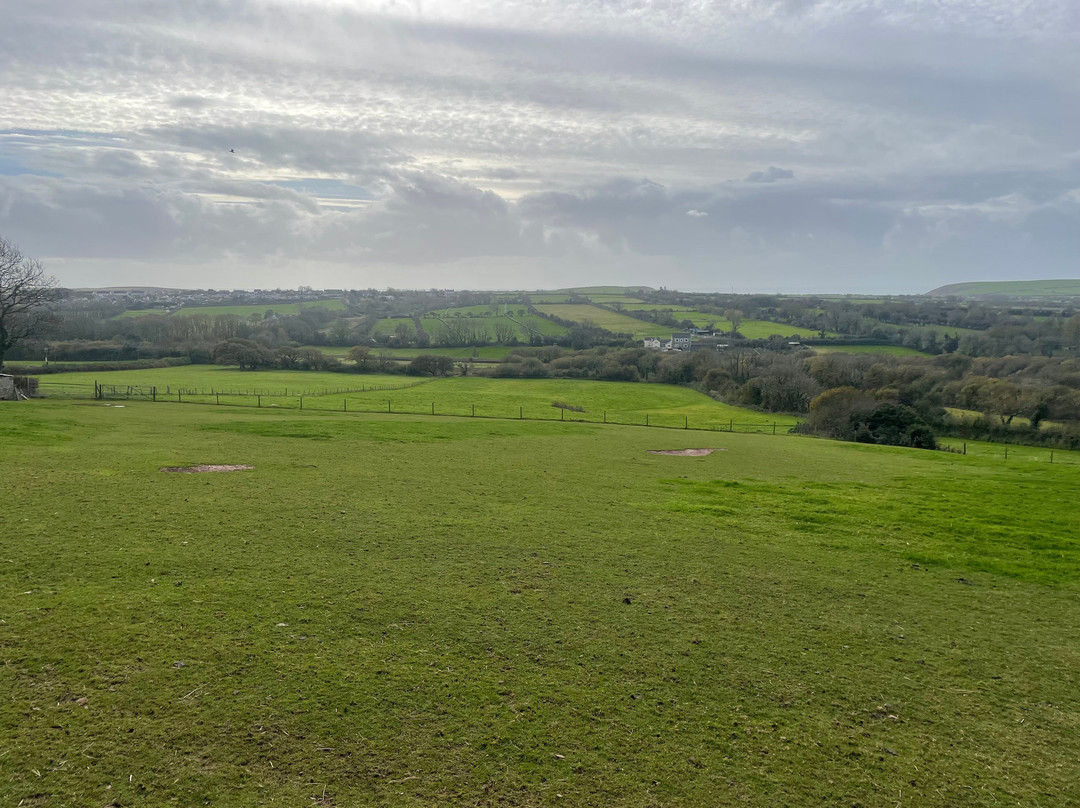 Pembrokeshire Alpaca Trekking-腾比必去景点