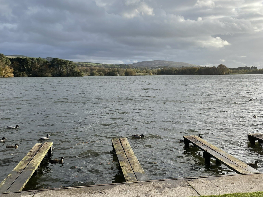 Talkin Tarn Park-卡莱尔必去景点