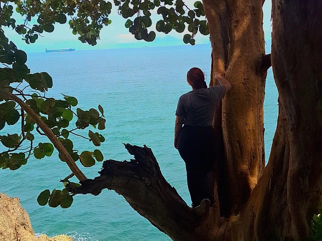 Isla Uvita-利蒙港必去景点