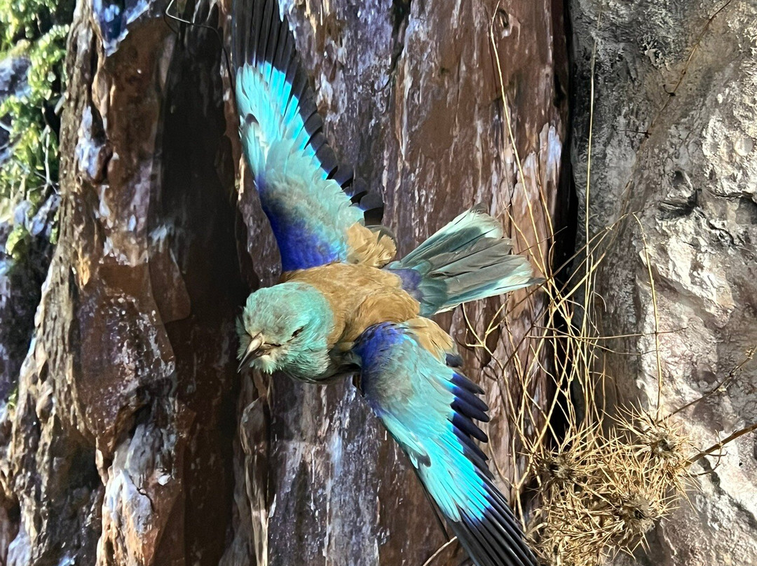 Episkopi Pafos Environmental Information Centre-Episkopi必去景点