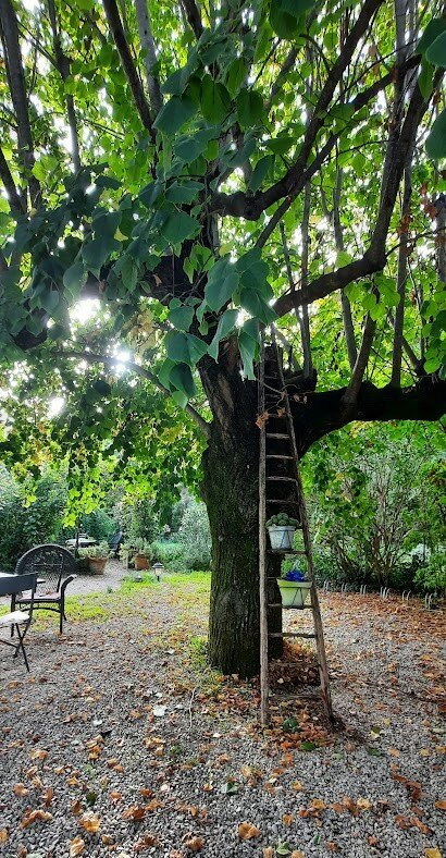 爱丽希尔蒂留斯酒店主图