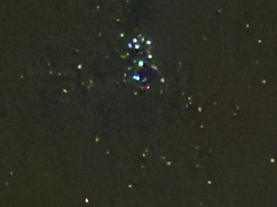 Madeira Fauna & Flora-沙尔必去景点