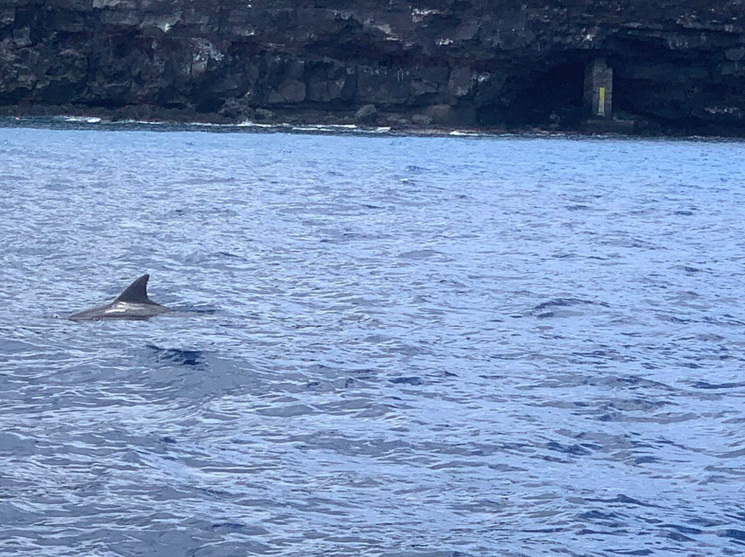 Sealife-圣吉尔莱班必去景点