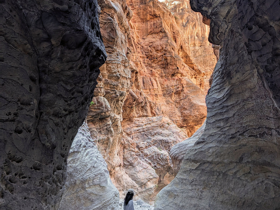 Jordan Trail Guide-佩特拉必去景点