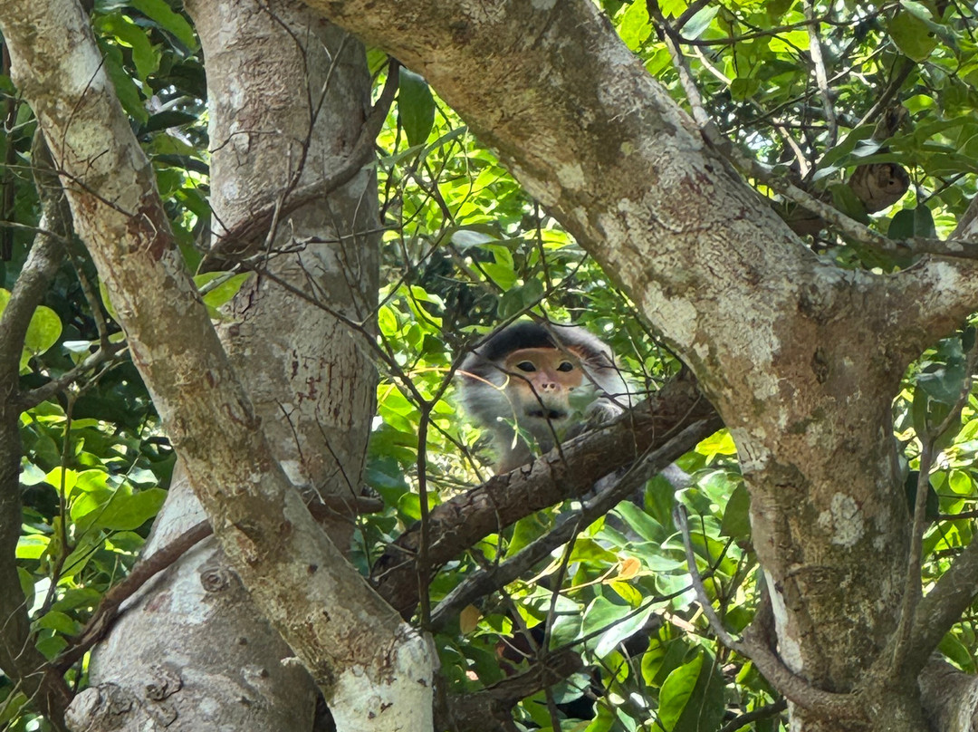 Vietnam Eco-Tours-岘港必去景点