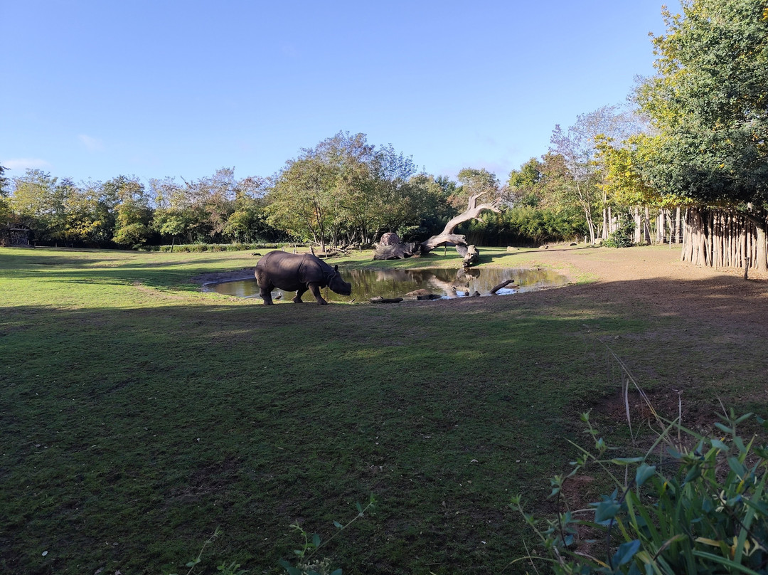 Zoo de La Fleche-La Fleche必去景点