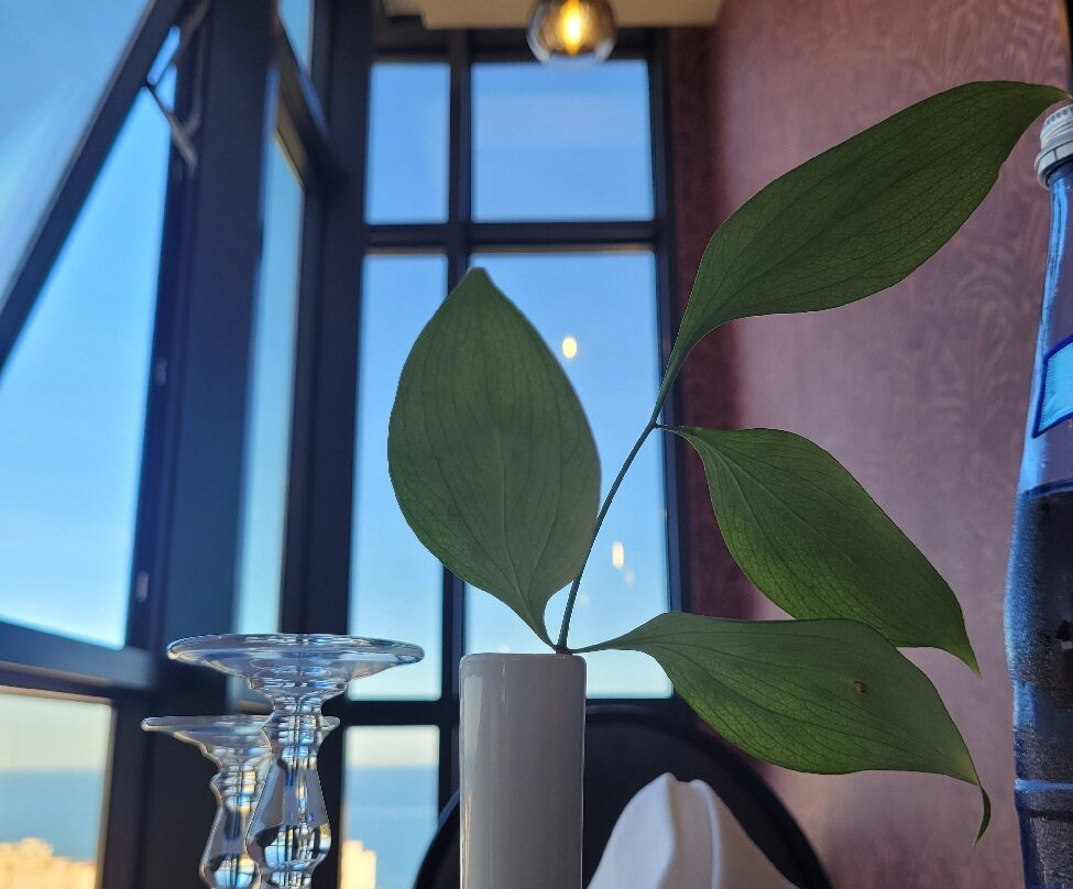 Hôtel Saint Eugène