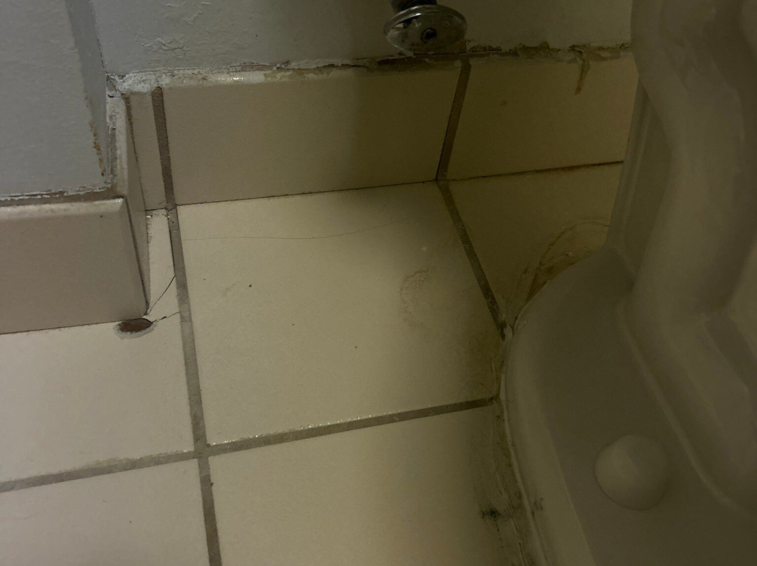 SpringHill Suites Pittsburgh Washington主图