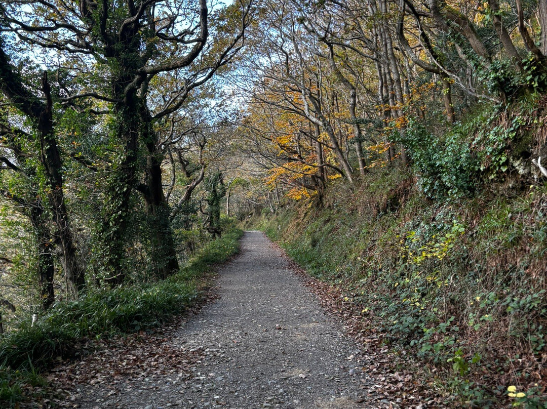 Glen Of The Downs Nature Reserve-Delgany必去景点