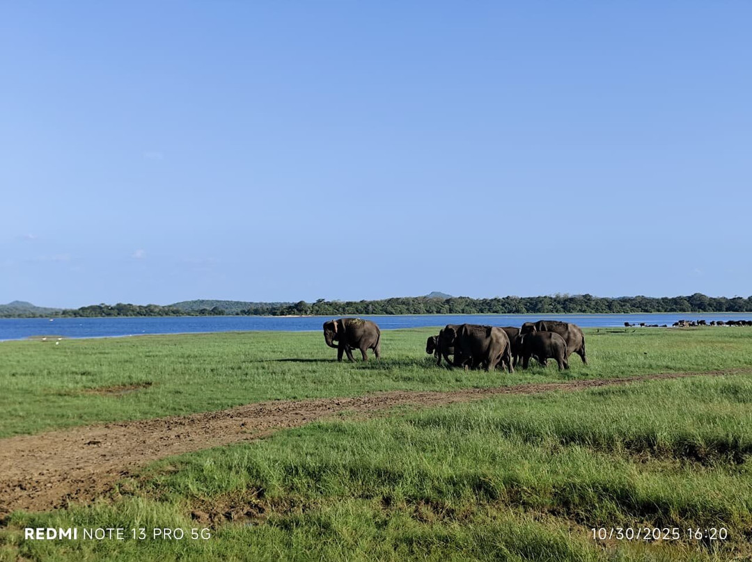 Explore Safari Tours-哈巴拉娜必去景点