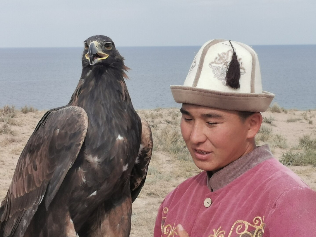 Eagle Hunting Show by Salavat-Bokonbayevo必去景点