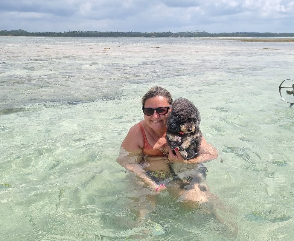 Piscinas Naturais da Praia do Patacho-Porto de Pedras必去景点