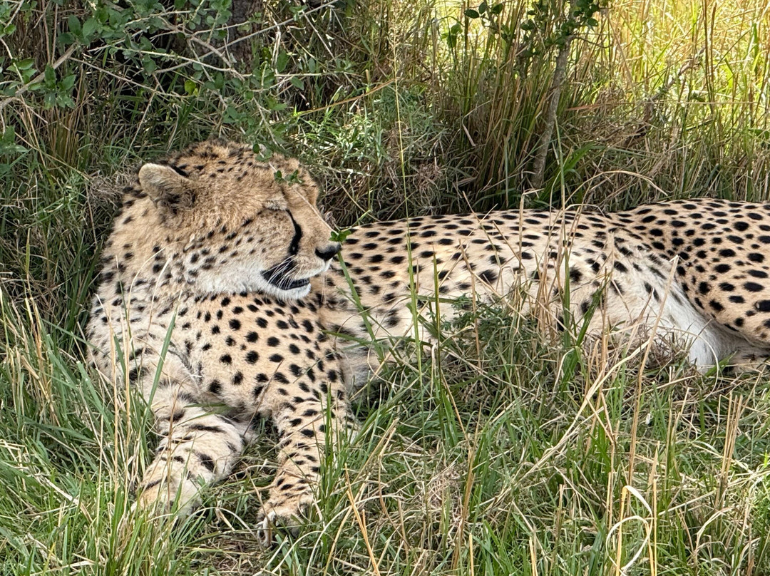 Jemu Expeditions-南由基必去景点