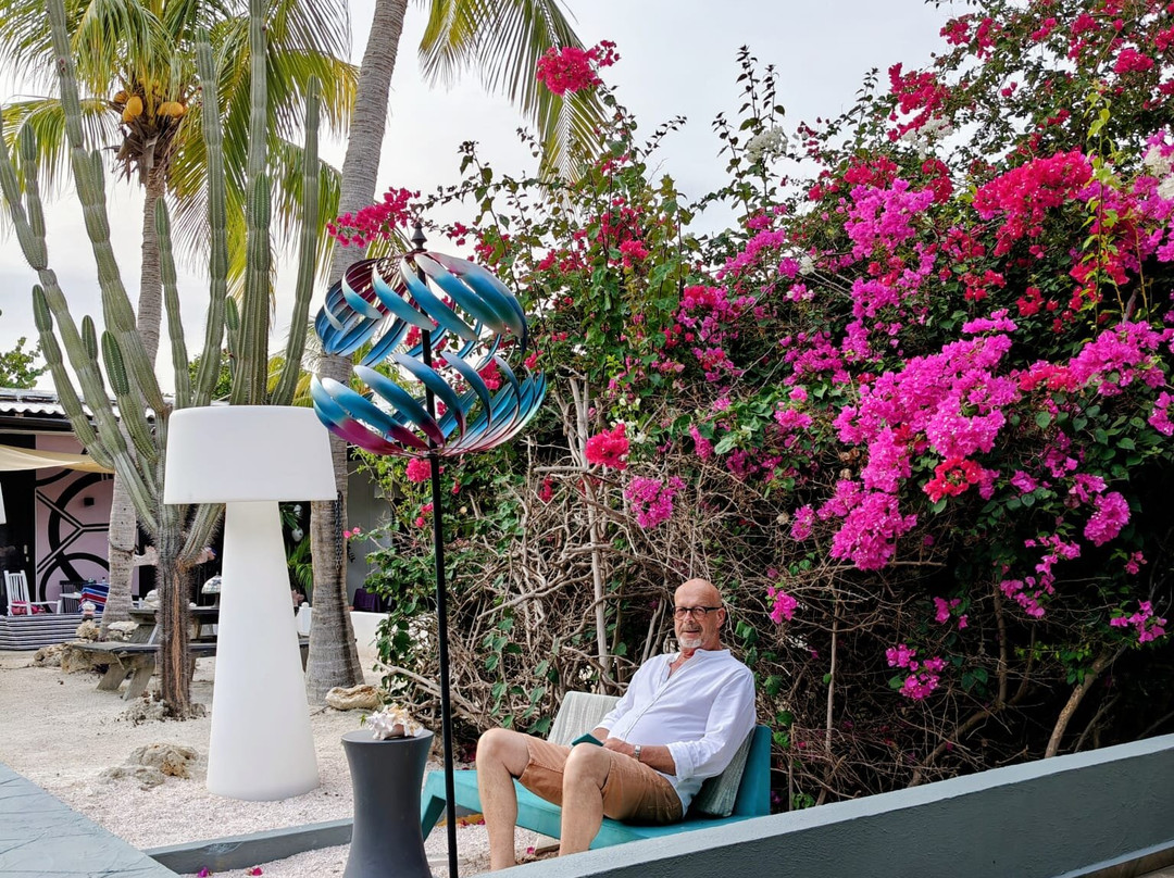 Thuishaven Boutique Mini-Resort主图