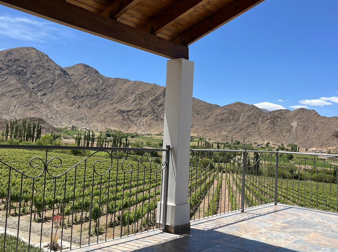 Bodega Puna-卡奇必去景点