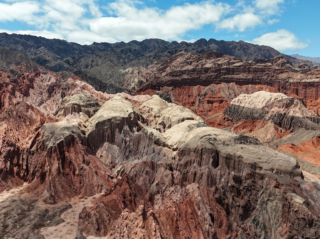 Poncho Tours-萨尔塔必去景点