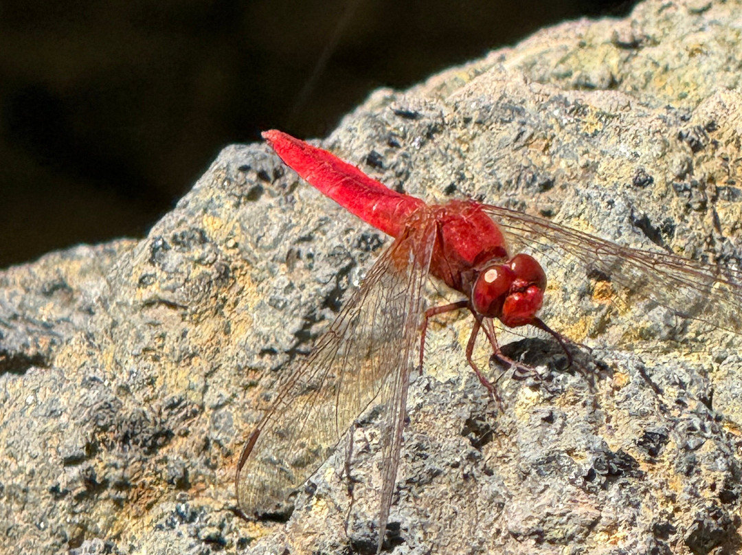 Lima Tours-Santo Antao必去景点