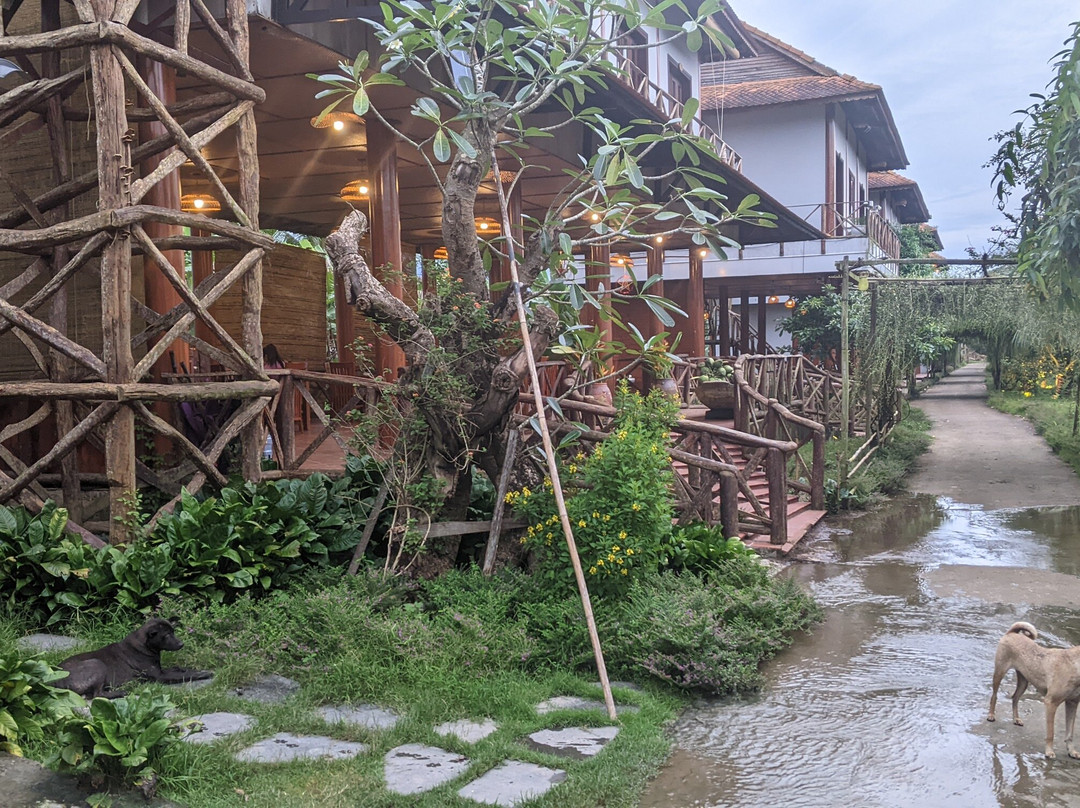 Mekong Rustic Can Tho Hideaway-芹苴必去景点