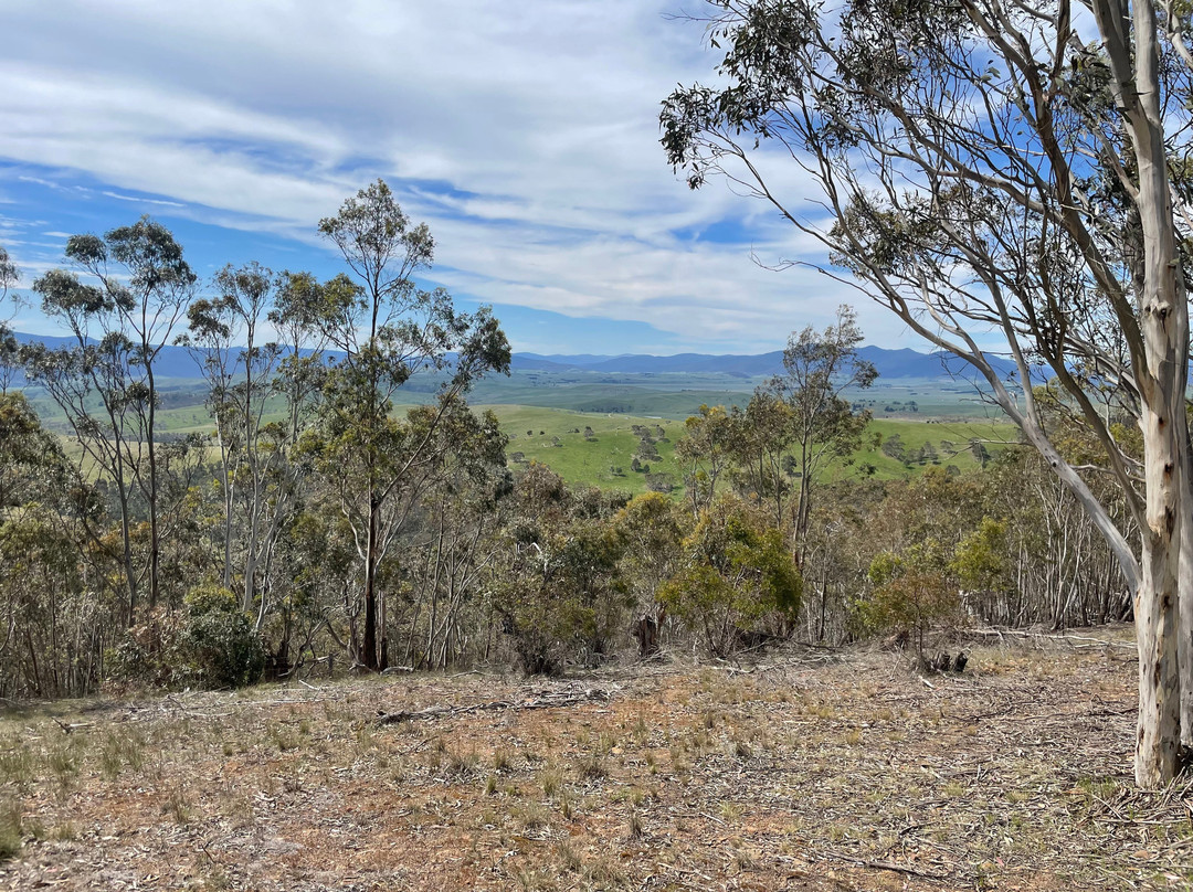 McMillan Lookout-Omeo必去景点